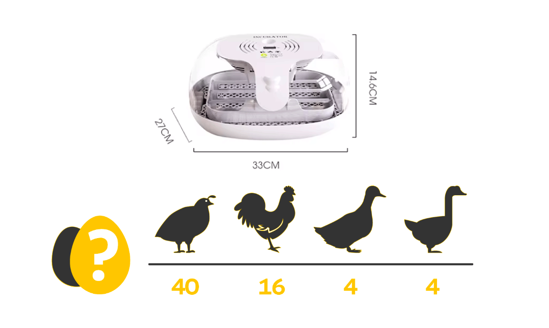 Snímka obrazovky 2026-01-28 o 18.30.09
